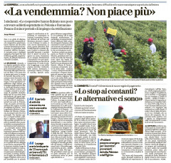 Vendemmia breve e paga bassa. I lavoratori dell’Est vanno altrove