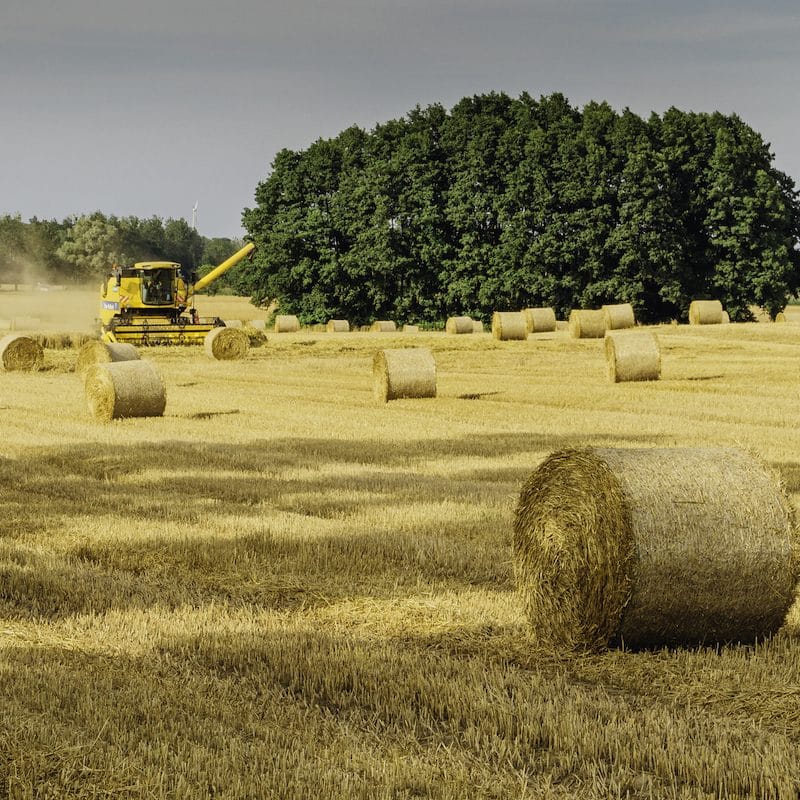In 20 anni è scomparso il 30% delle aziende agricole italiane